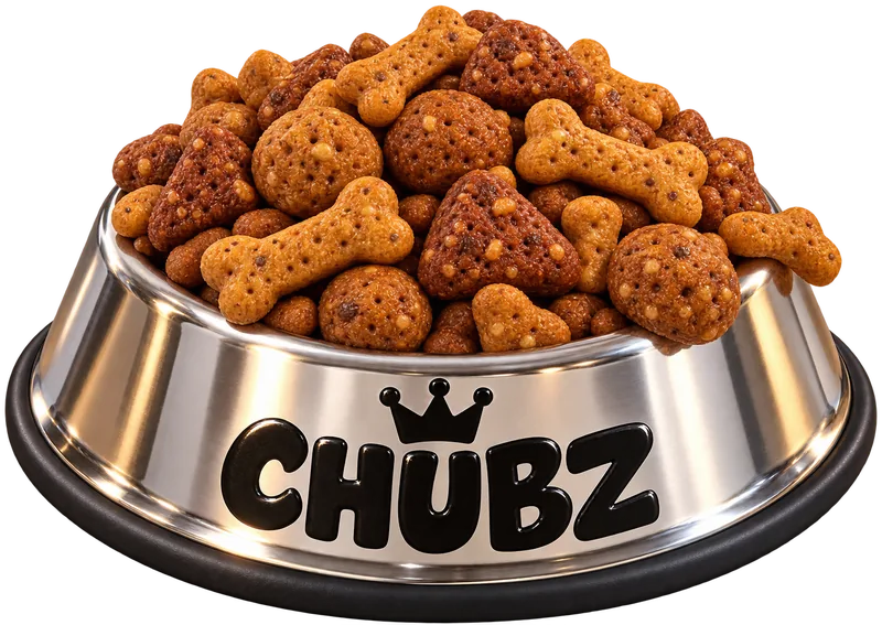 A CHUBZ bowl overflowing with kibble